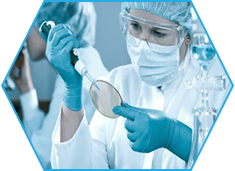 Healthcare and Life Sciences