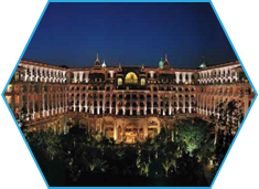 Hospitality and Management 